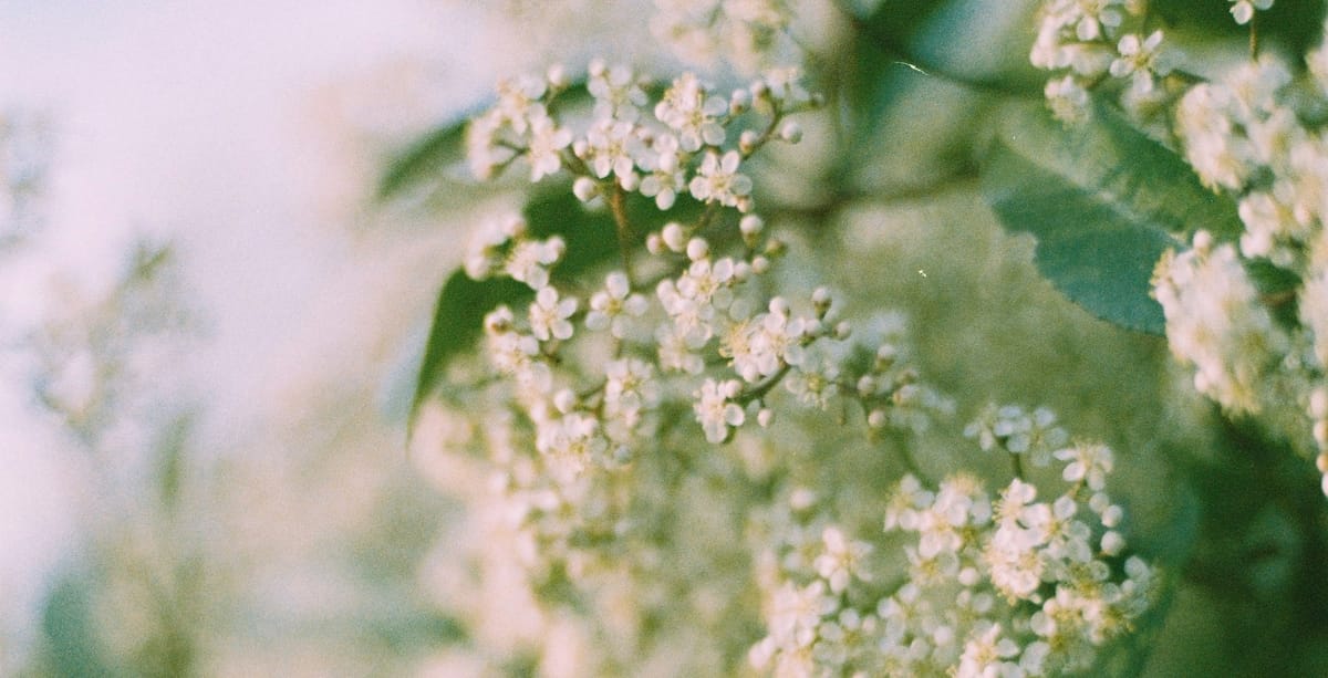 about